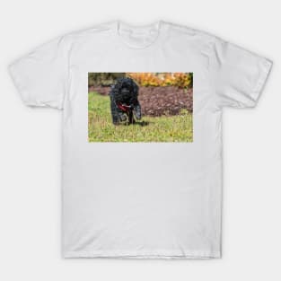 Hunting Poodles T-Shirt